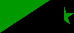 drapeau vert et noir
