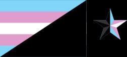 association du drapeau trans, et du noir anarchiste